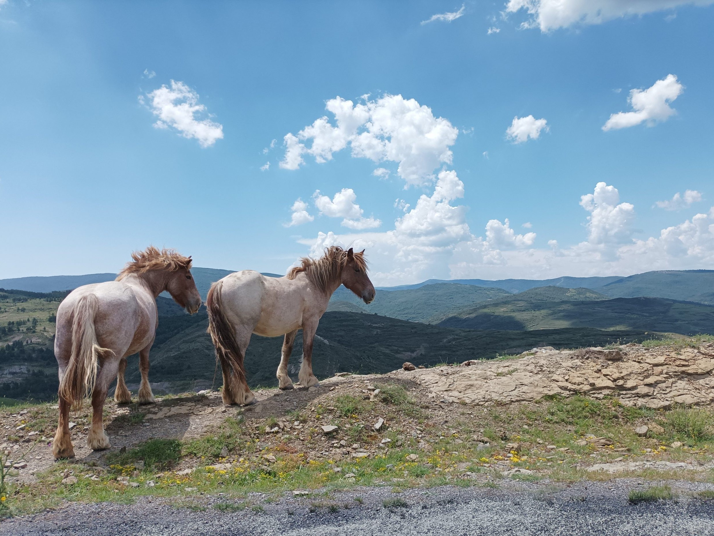 Hornillos de Cameros