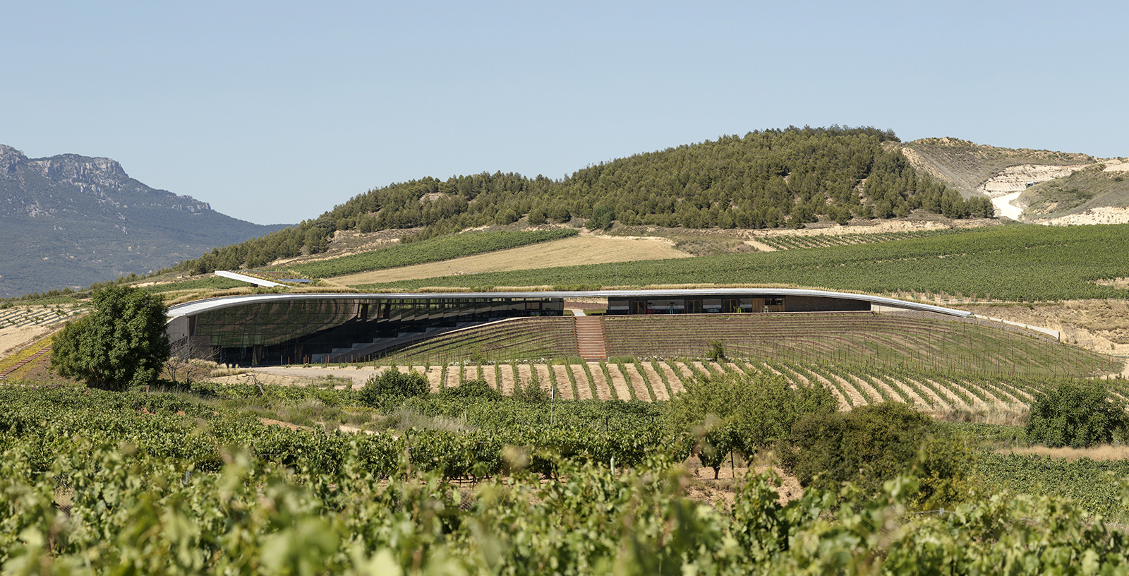 Bodegas beronia