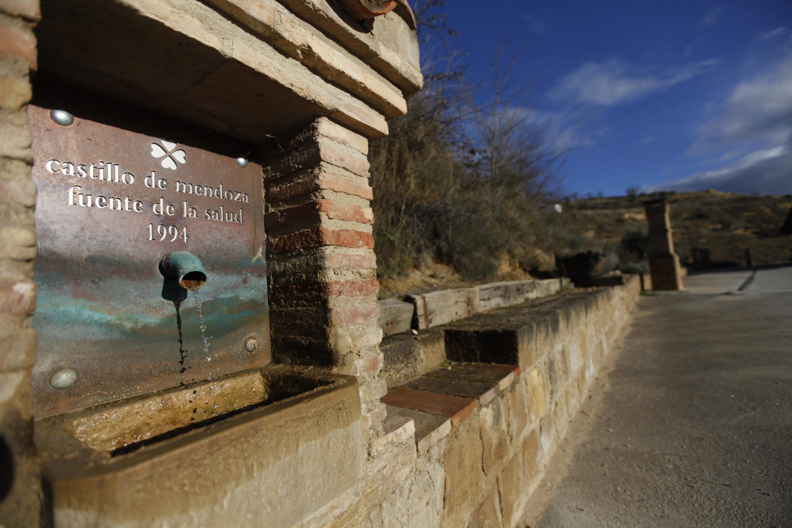 Bodegas castillo de mendoza