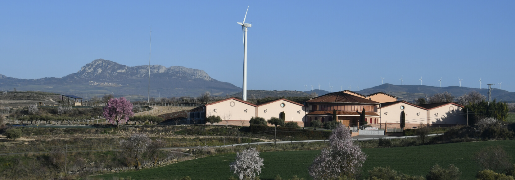 Bodegas fernandez de pierola