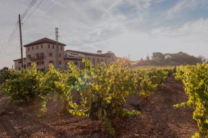 Bodegas señorio de la estrella
