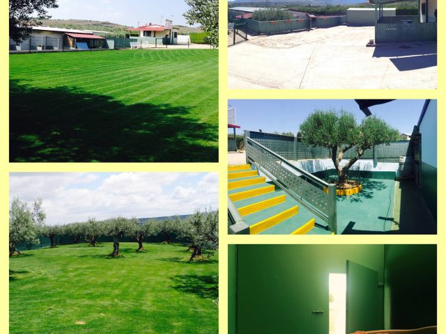 Centro canino el olivar