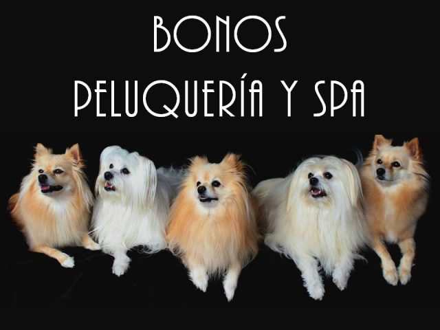 Clinica veterinaria ceres