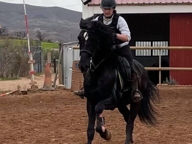 El mollegar equitacion