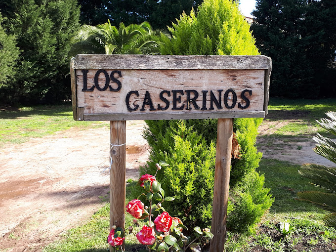 Fabrica de lacteos los caserinos