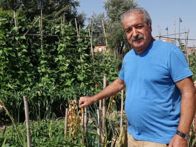 Huertos de ocio san adrian