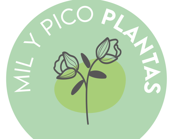 Mil y pico plantas