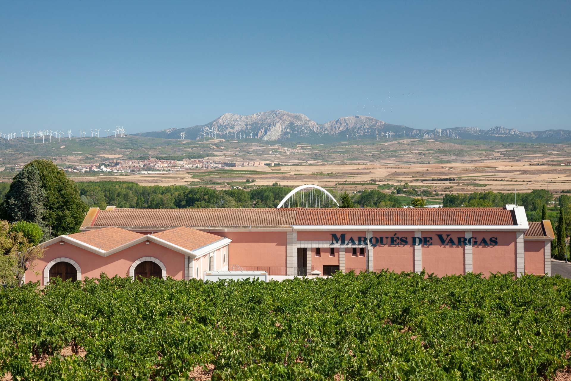 Viñedos marques de vargas