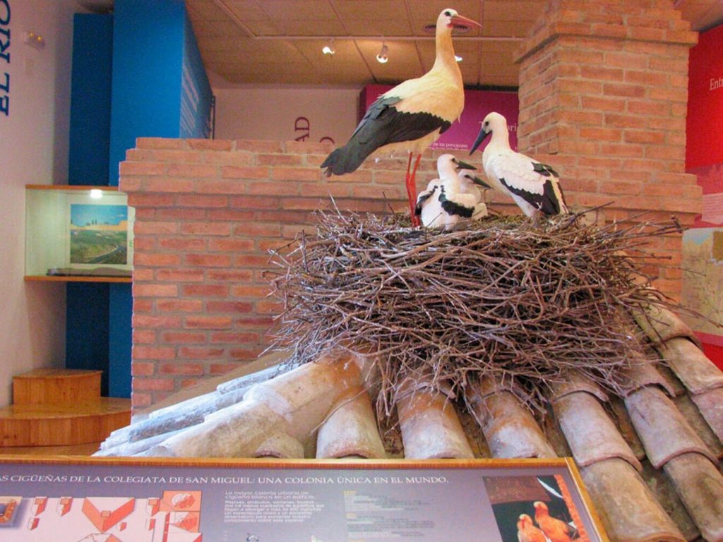 Centro de Interpretación de los Sotos de Alfaro y sus Cigüeñas