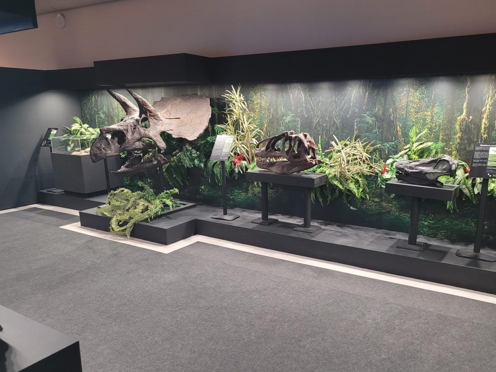 Museo de Ciencias Naturales