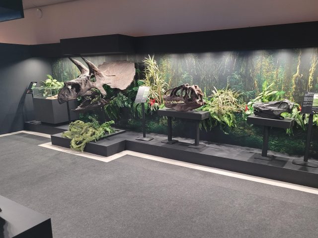 Museo de Ciencias Naturales