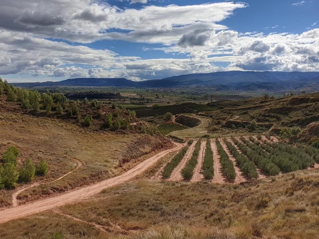 Nájera en las alturas