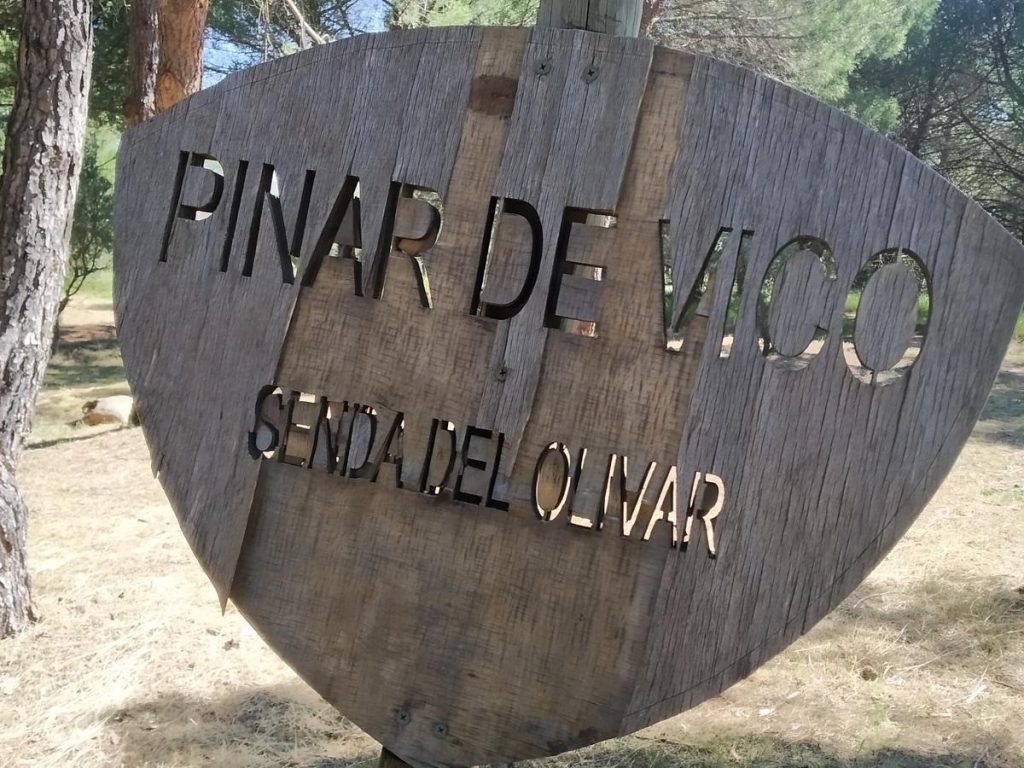 Ruta BTT Barranco de las Puertas y Pinar de Vico